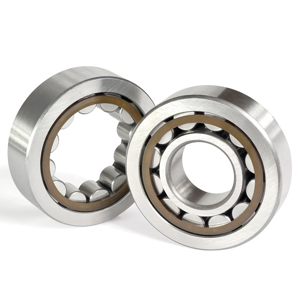 SL Double Row Full Complement Cylindrical Roller Bearings